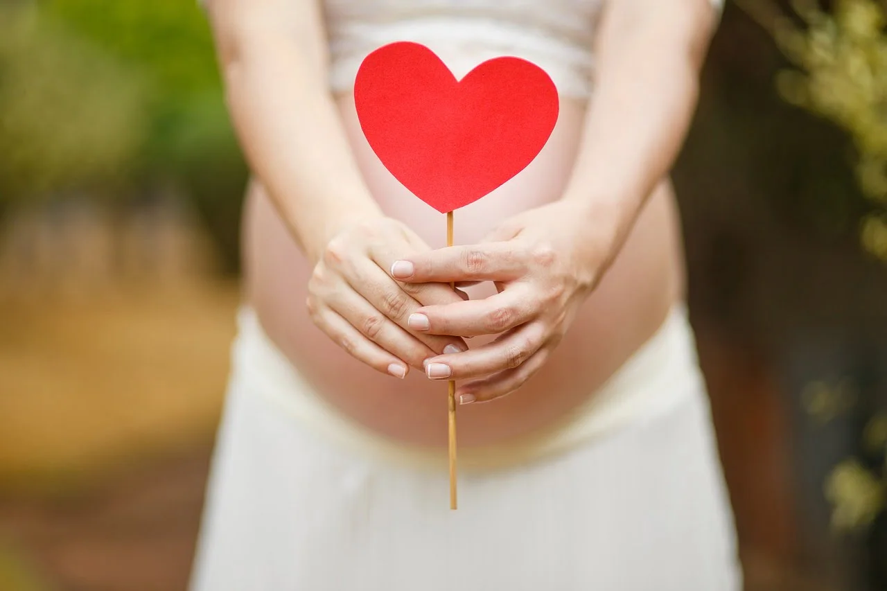Healthy pregnant woman holding red heart enjoying pregnancy